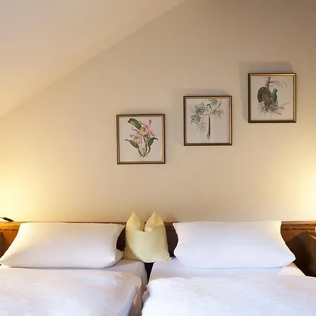 Мини-отель Wild-berghof Buchet Бернрид