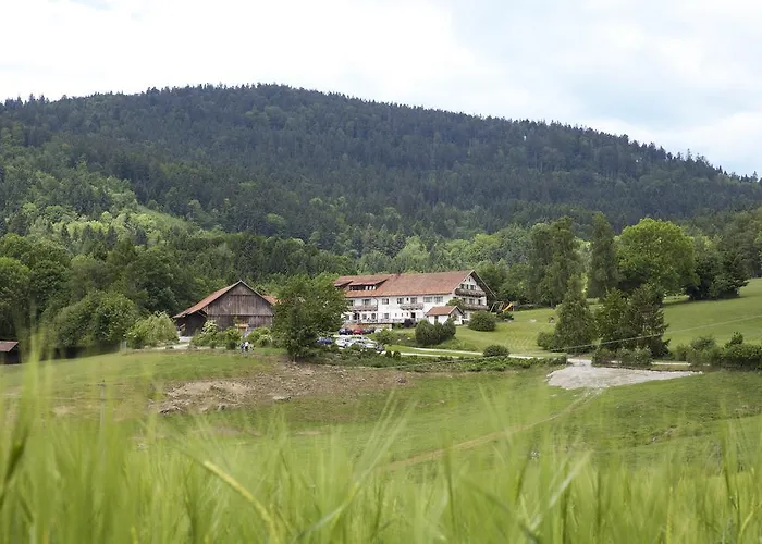 Wild-berghof Buchet *