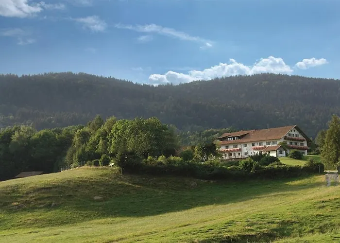 Wild-berghof Buchet *